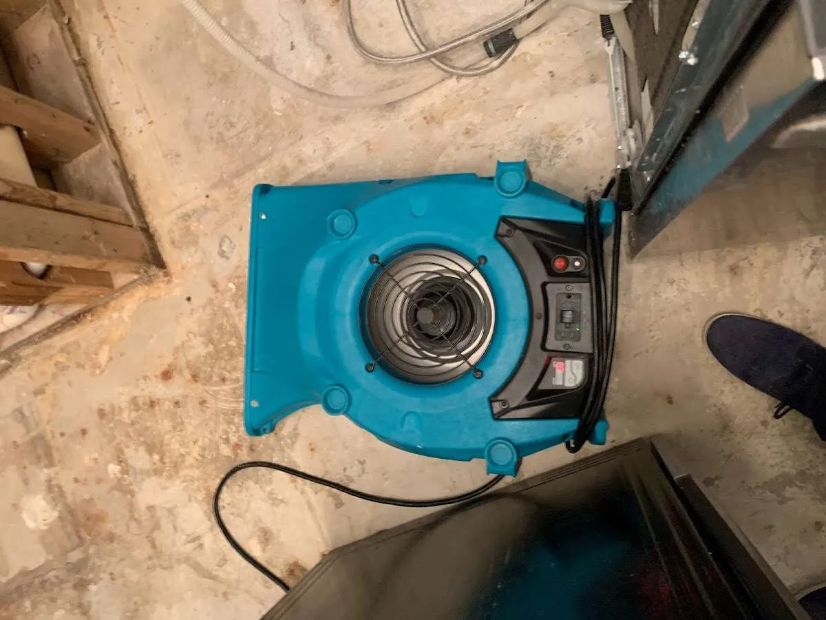 Air mover drying equipment for Mold Remediation & Removal in Englewood