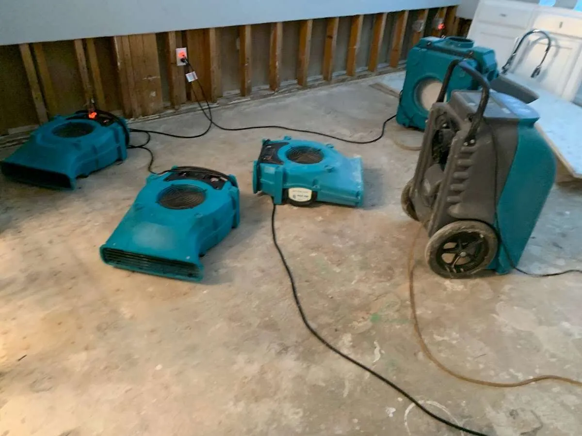 Water Damage Restoration services in Englewood, FL